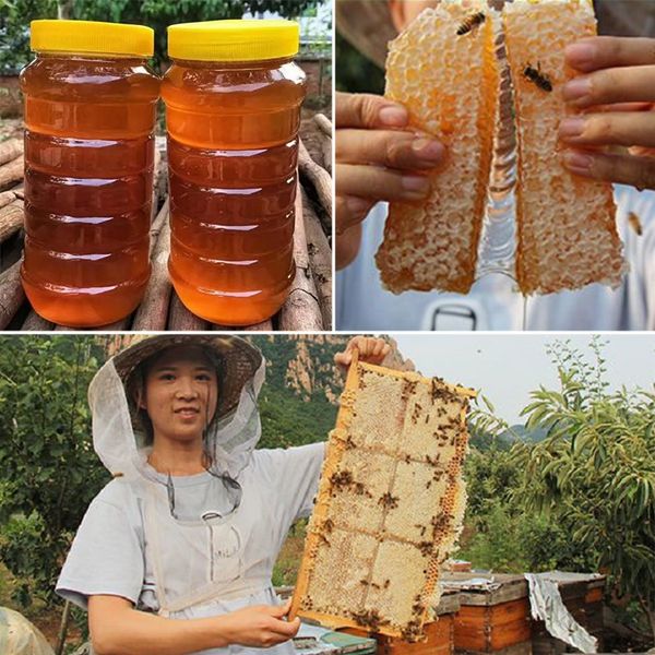 限時搶購:#買一送一【因為自家做的是100%土蜂蜜,不摻假,所以做不了大規模生產,每月網路出售土蜂蜜限定800瓶 木桶蜂巢蜜限定600盒 (免運費)】台灣在地高山野生土蜂蜜 0添加 0污染 0加工 古法木桶養殖 100%天然蜂蜜 濃度更高 更健康 吃出自然味道 限時搶購:#買一送一【因為自家做的是100%土蜂蜜,不摻假,所以做不了大規模生產,每月網路出售土蜂蜜限定800瓶 木桶蜂巢蜜限定600盒 (免運費)】台灣在地高山野生土蜂蜜 0添加 0污染 0加工 古法木桶養殖 100%天然蜂蜜 濃度更高 更健康 吃出自然味道